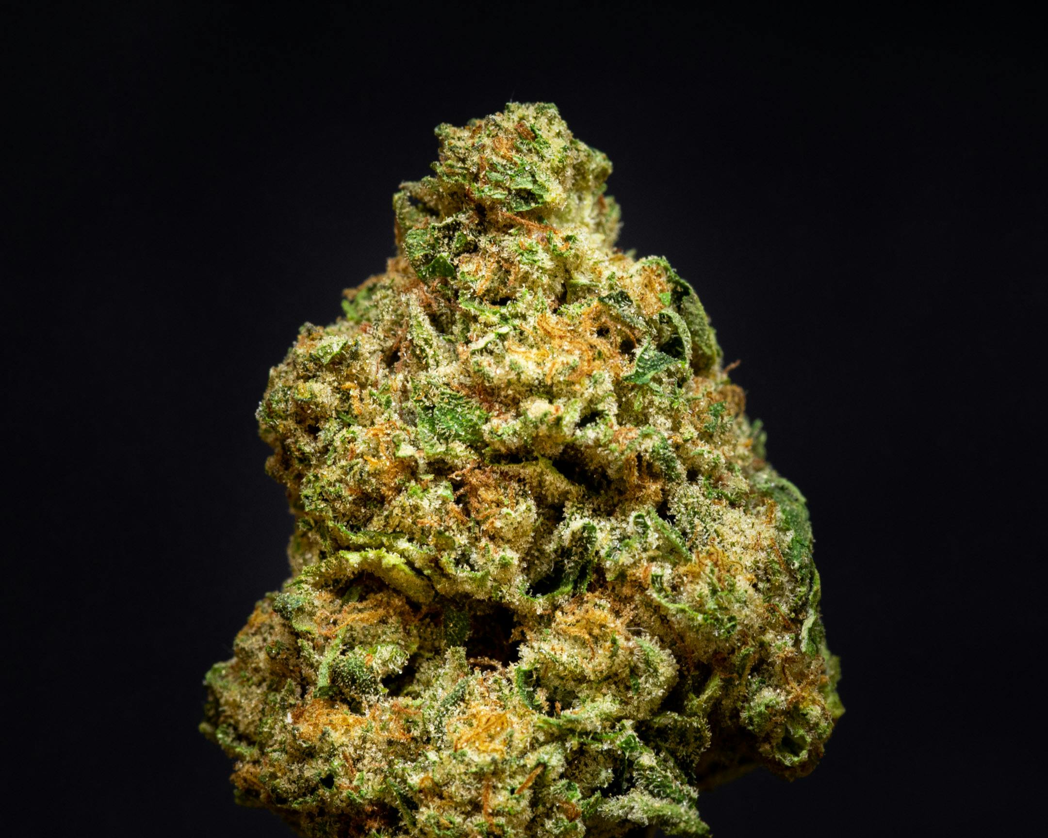 Silver Shelf - Kush Crasher (H)