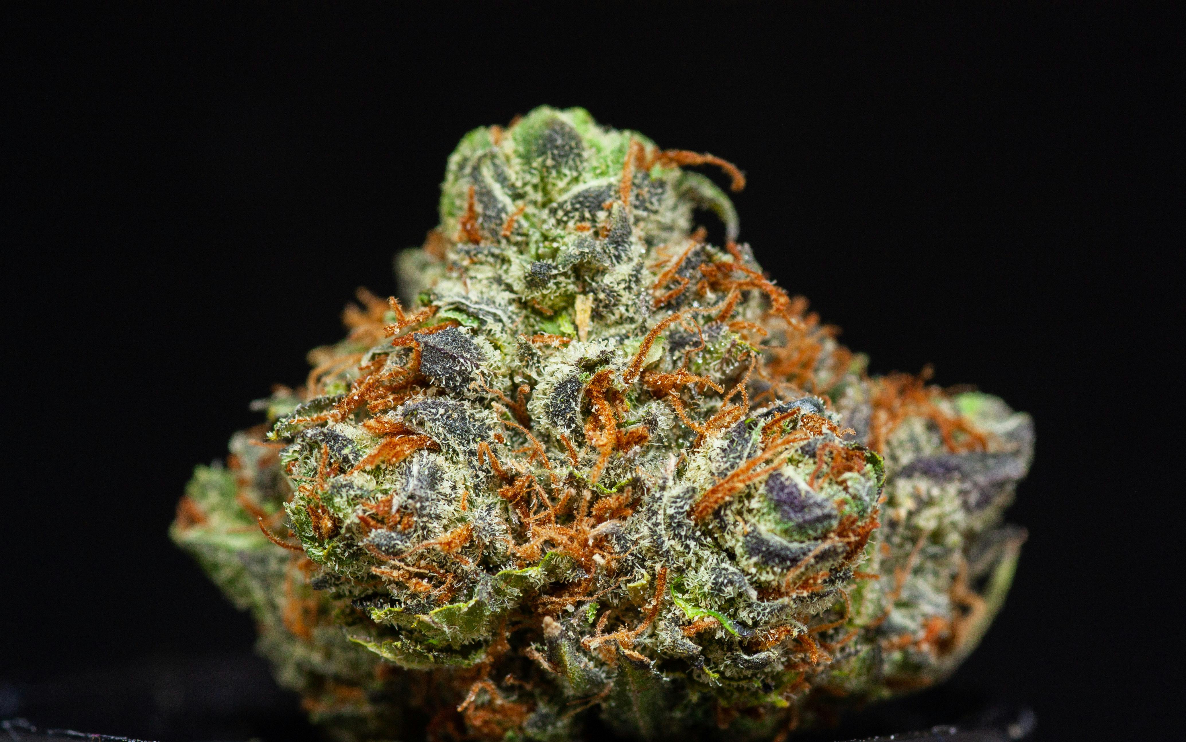 Silver Shelf - Double G (H)