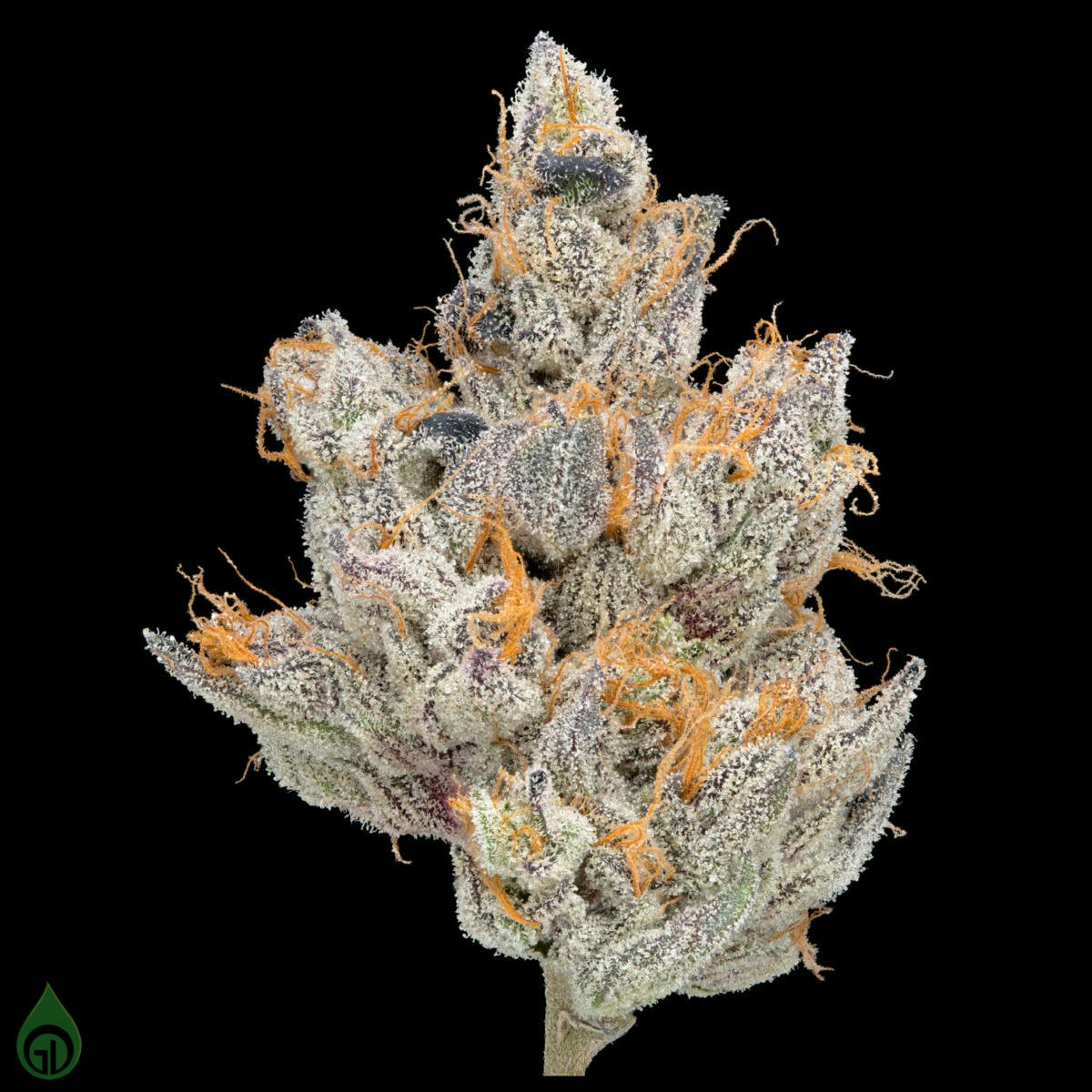 Green Dot - Pre-Packed - Full Throttle (H)