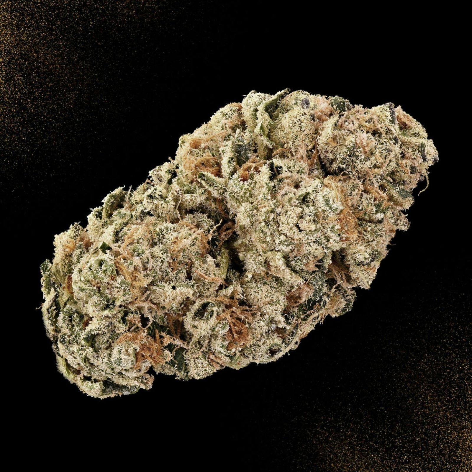 Platinum Shelf - Lemonhead Delight (S)