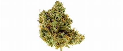 Platinum Shelf - Lemonage A Trois (H)