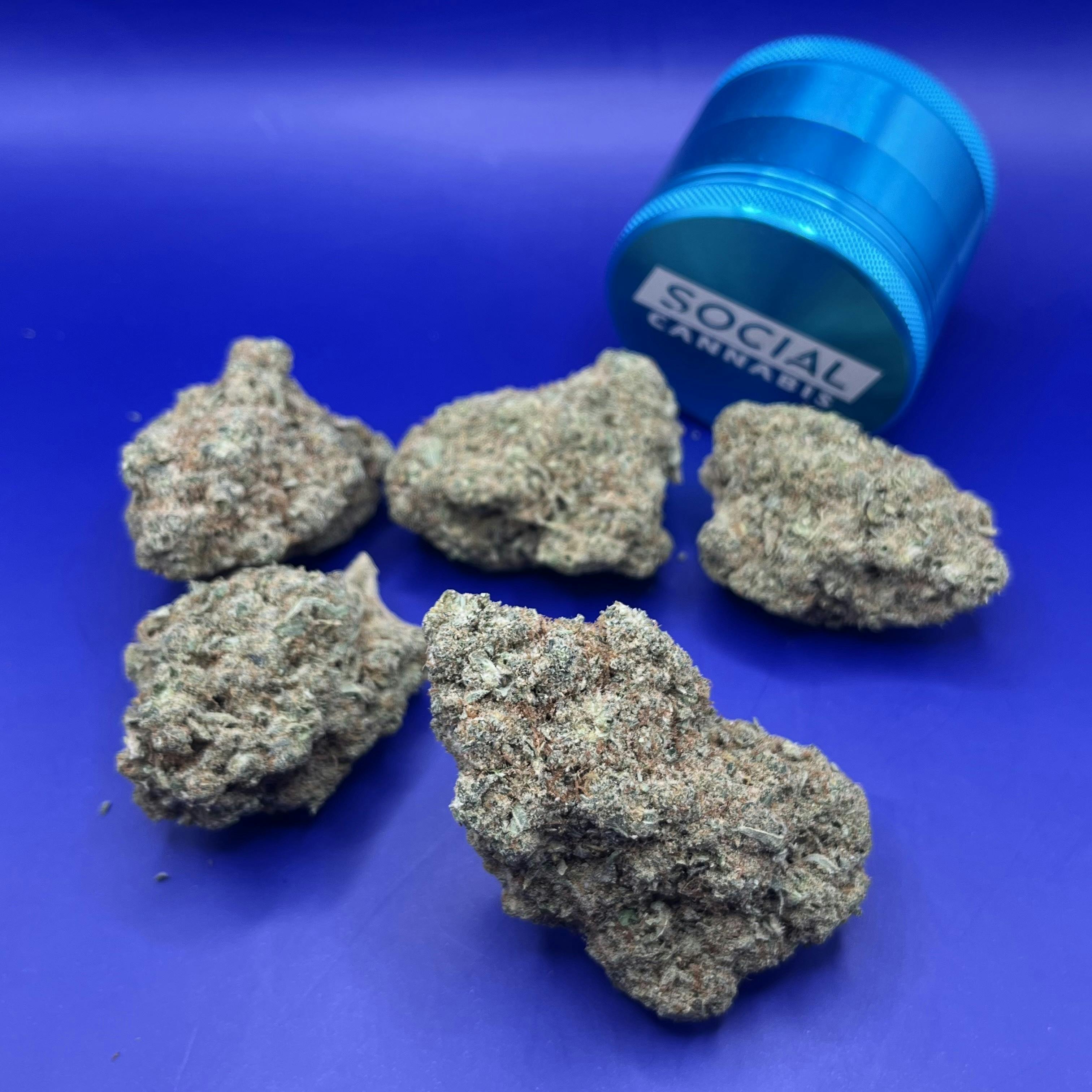 Silver Shelf - Starfire Cream (S)