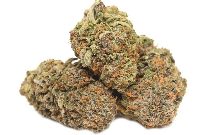 Gold Shelf - Runtz (H)