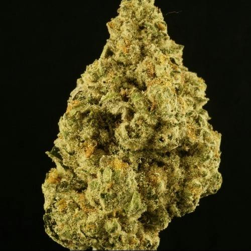 Platinum Shelf - 5280 (I)