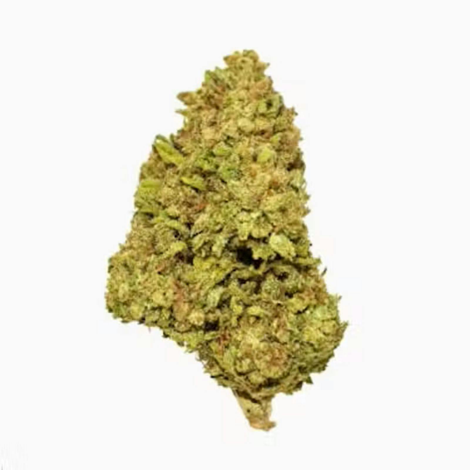Gold Shelf - Tree Flip (S)