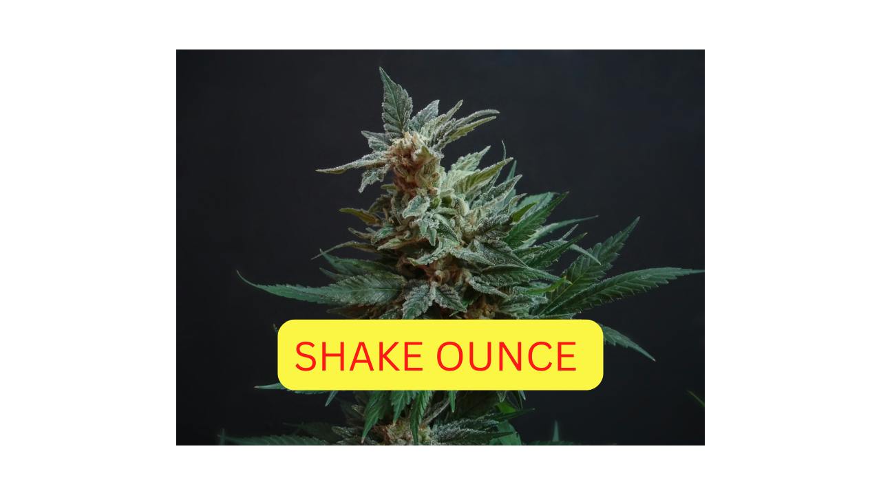 High Supply | Royal Cherry Diesel | Hybrid **SHAKE OUNCE**