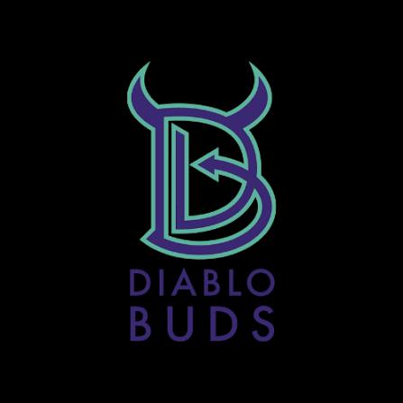 Diablo Buds | 13 Ward | Hybrid