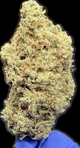 Strawberry Lemonade- Bulk Flower