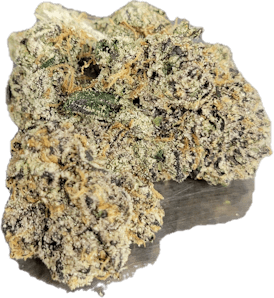 THE DREAM- Bulk Flower