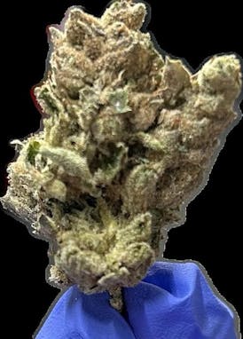 Skywalker - Bulk Bud