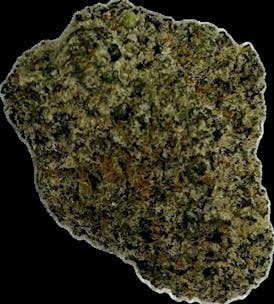 Ice Cream Cake BX - Bulk Flower
