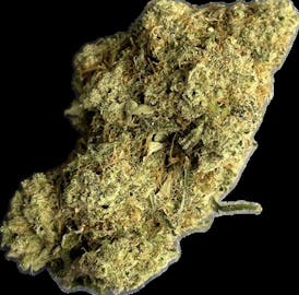 PURPLE HAZE -BULK FLOWER