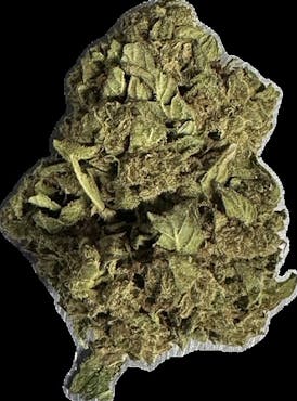 BigPapa Bargain $3/g 28g/$84 - Afghan Cookies