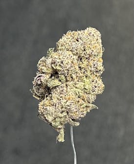 Ice Cream Runtz - Bulk Flower