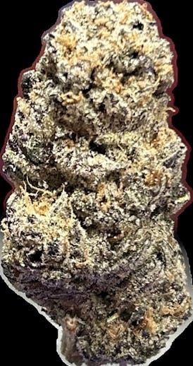 GUSH MINTZ- BULK FLOWER