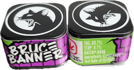 Bruce Banner RESIN