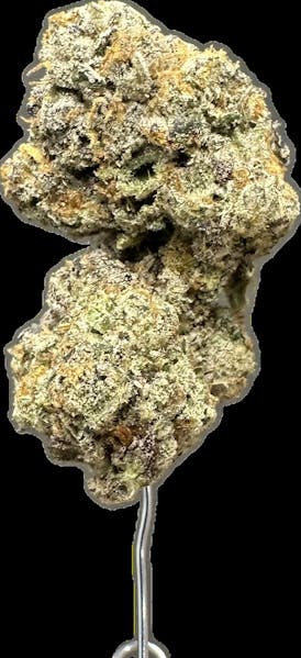 CAP JUNKY #3