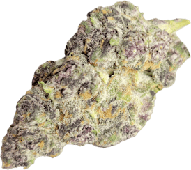 Super Boof- Bulk Flower