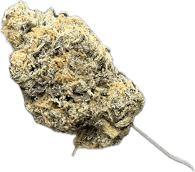 DELI STYLE - LEMON CHERRY GELATO X GRAPE GAS