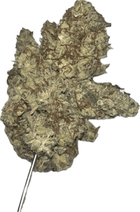 3.5G - Sour Jamaican Diesel - Mix $ Match any 4/$100 or 8/$160