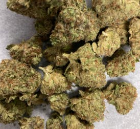 Oz Special $69 BUDS (Tax Included) No Bullchit - WIFI Cookie