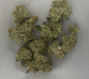 Hashburger Mix Match Any 4/ Or 8/ R1r4b1