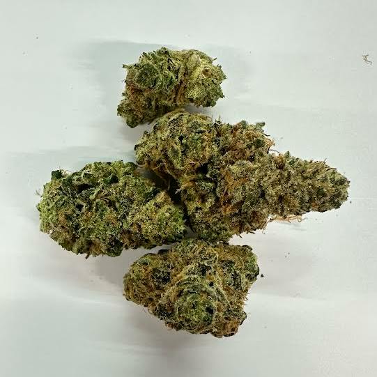 Mimosa Mix Match Any 4/ Or 8/ R1r1b6