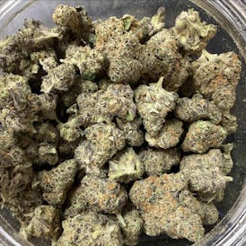 TOP SHELF- Specimen X