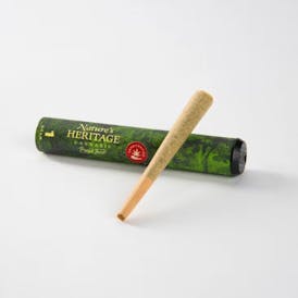 Chimax Preroll
