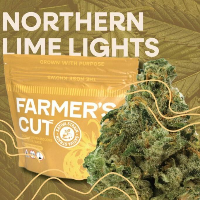 Farmer's Cut | Northern Lime Lights | Flower | 3.5G by Farmer's Cut