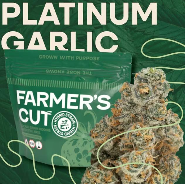 Cyber Wolf (H) - 3.5g | Farmer's Cut