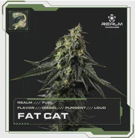 Juice Leak (S/H) 28g Flower | Realm
