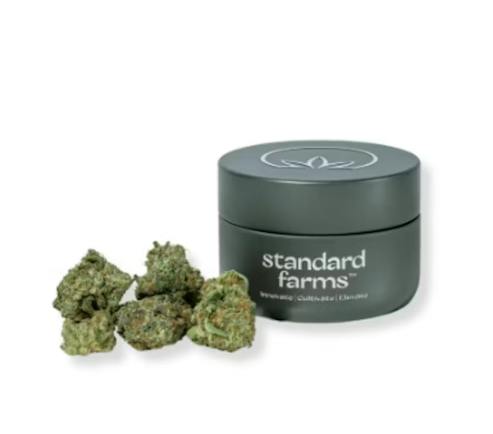 Flan Sherbert (H) 3.5g Flower | Standard Farms