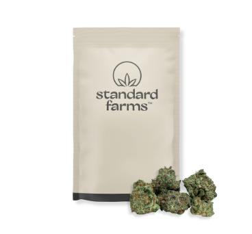 Vanilla Cream Pie (H) 28g Flower | Standard Farms