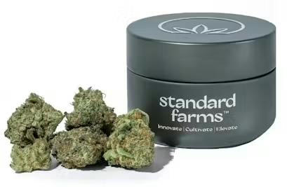 SF | Blueberry Cupcake (H) | 3.5g Flower