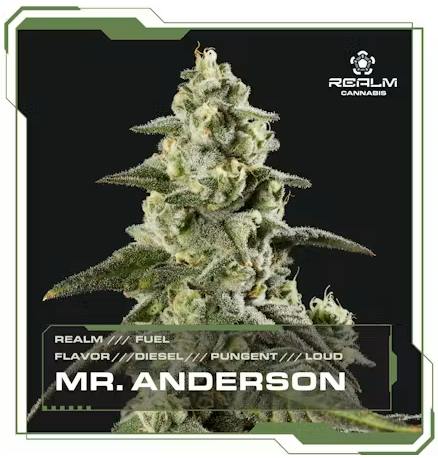 Mr. Anderson (I) 28g Flower | Realm