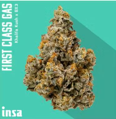 First Class Gas (I/H) 3.5g | INSA