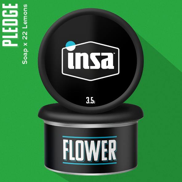 Pledge (S/H) 3.5g | INSA
