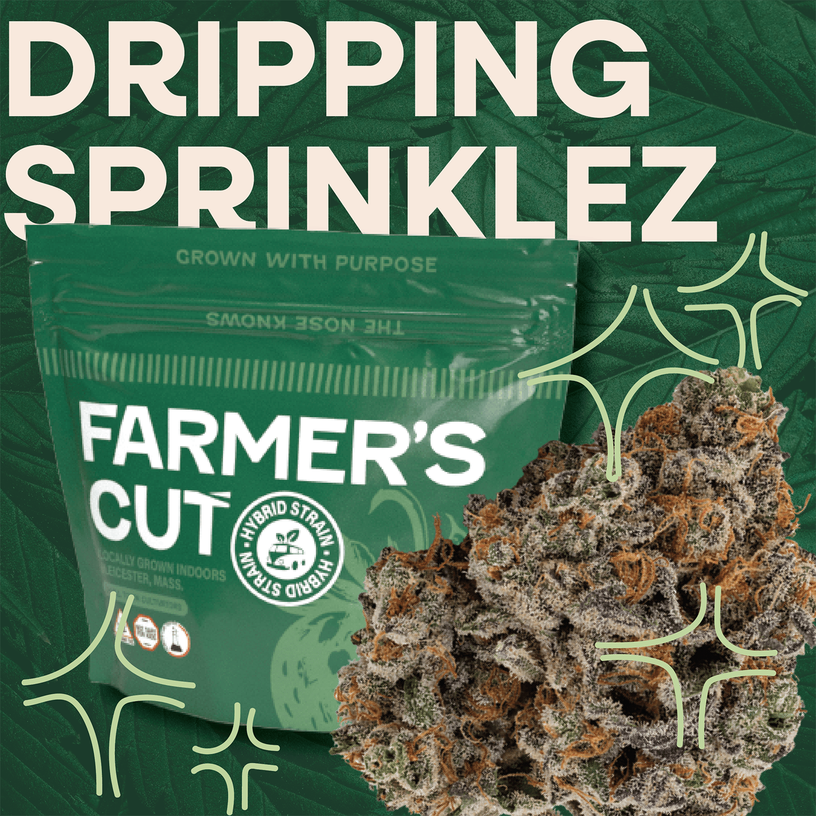 Farmer's Cut | - Neon Screams (H) | Flower 3.5g