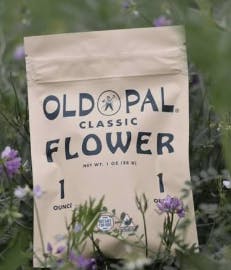 Black Velvet (I) 28g Flower | Old Pal