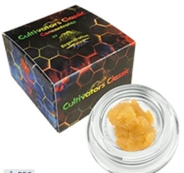 Cultivators Classic Pineapple Mimosa Badder
