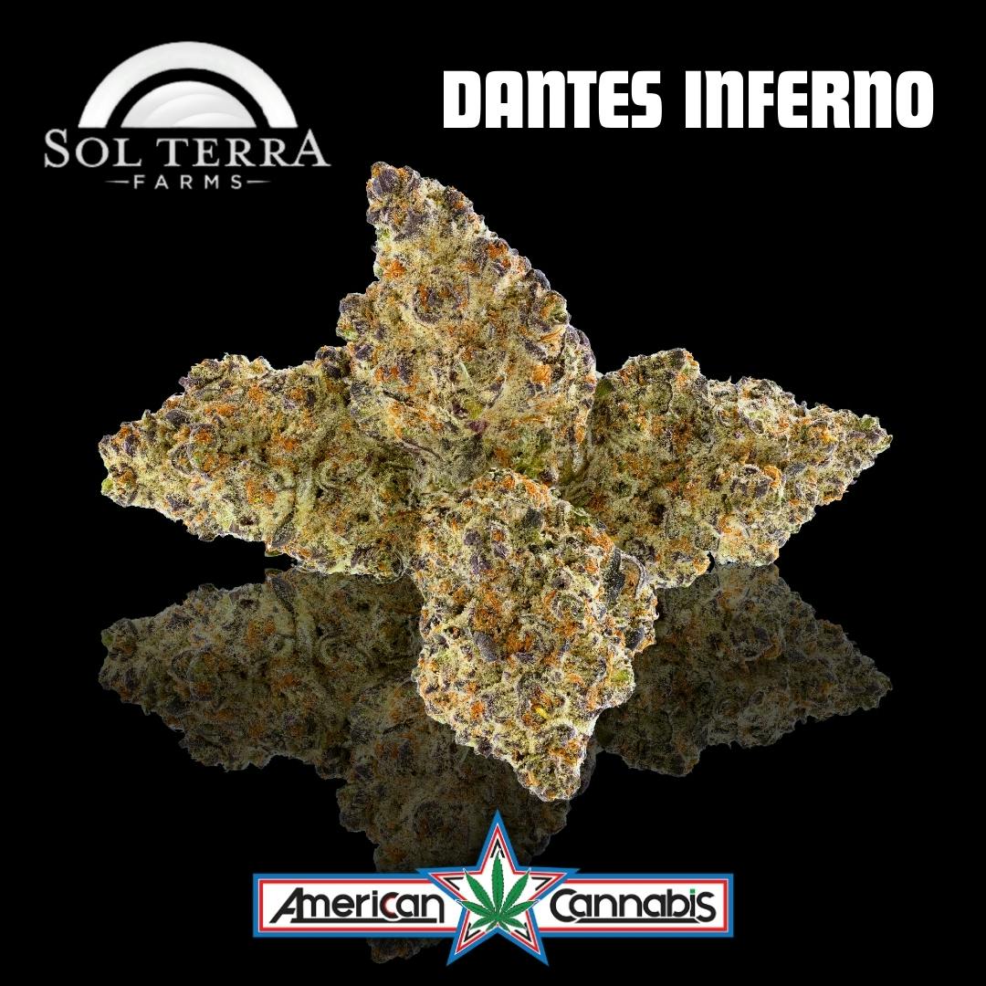 [Flower] Sol Terra Dante's Inferno 14g [Indica]