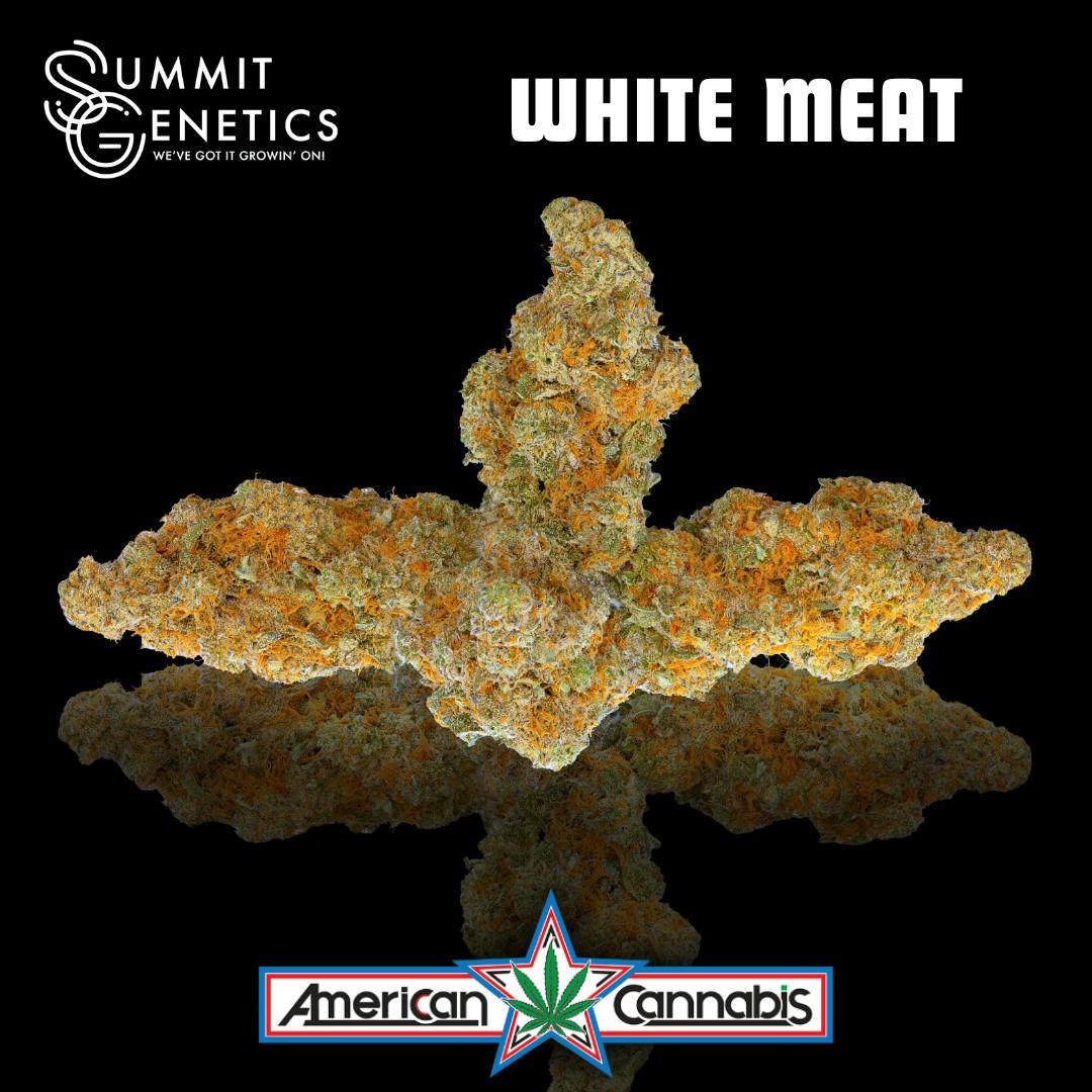 White Meat | Big Buds | 3.5g