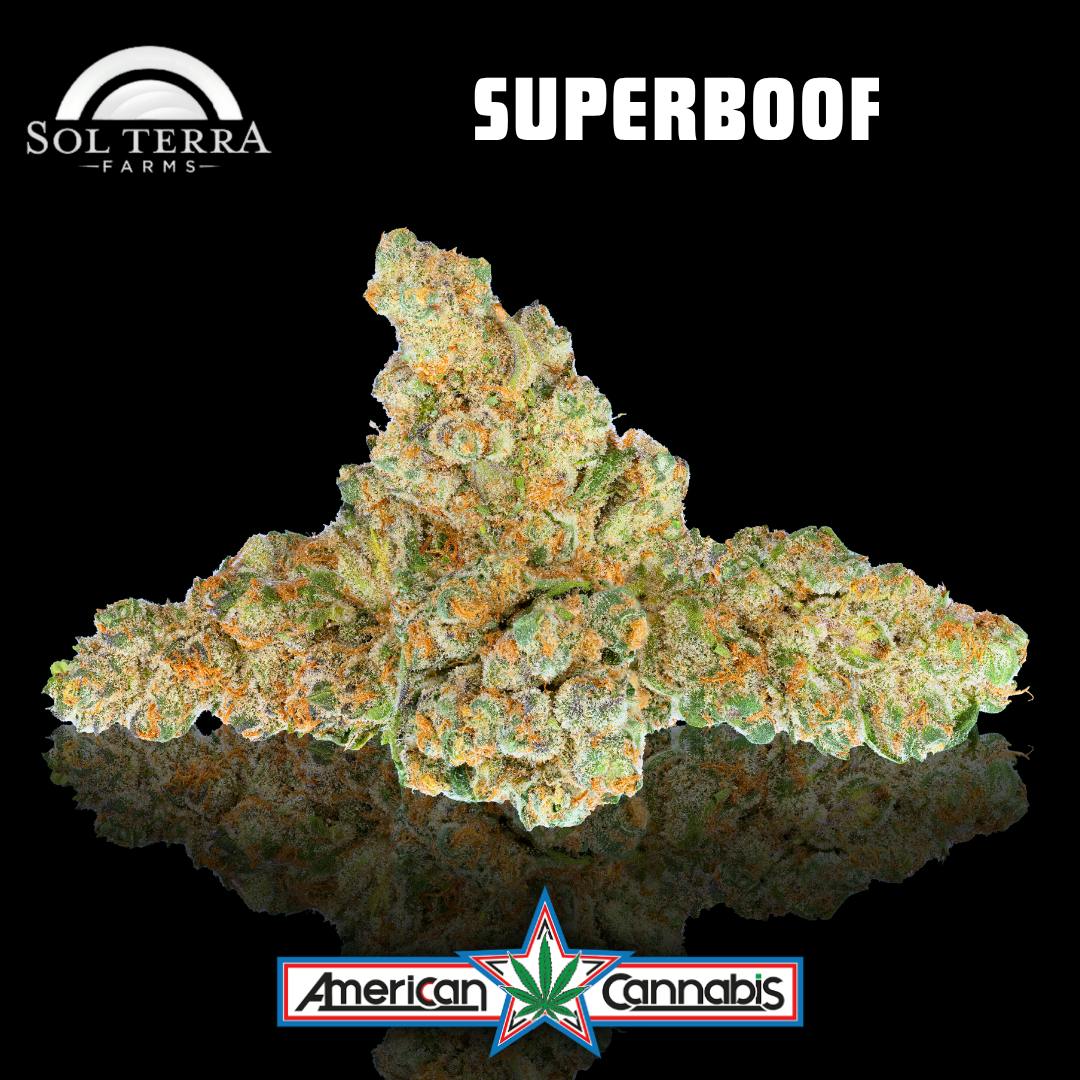 [Flower] Sol Terra Superboof 14g [Indica]