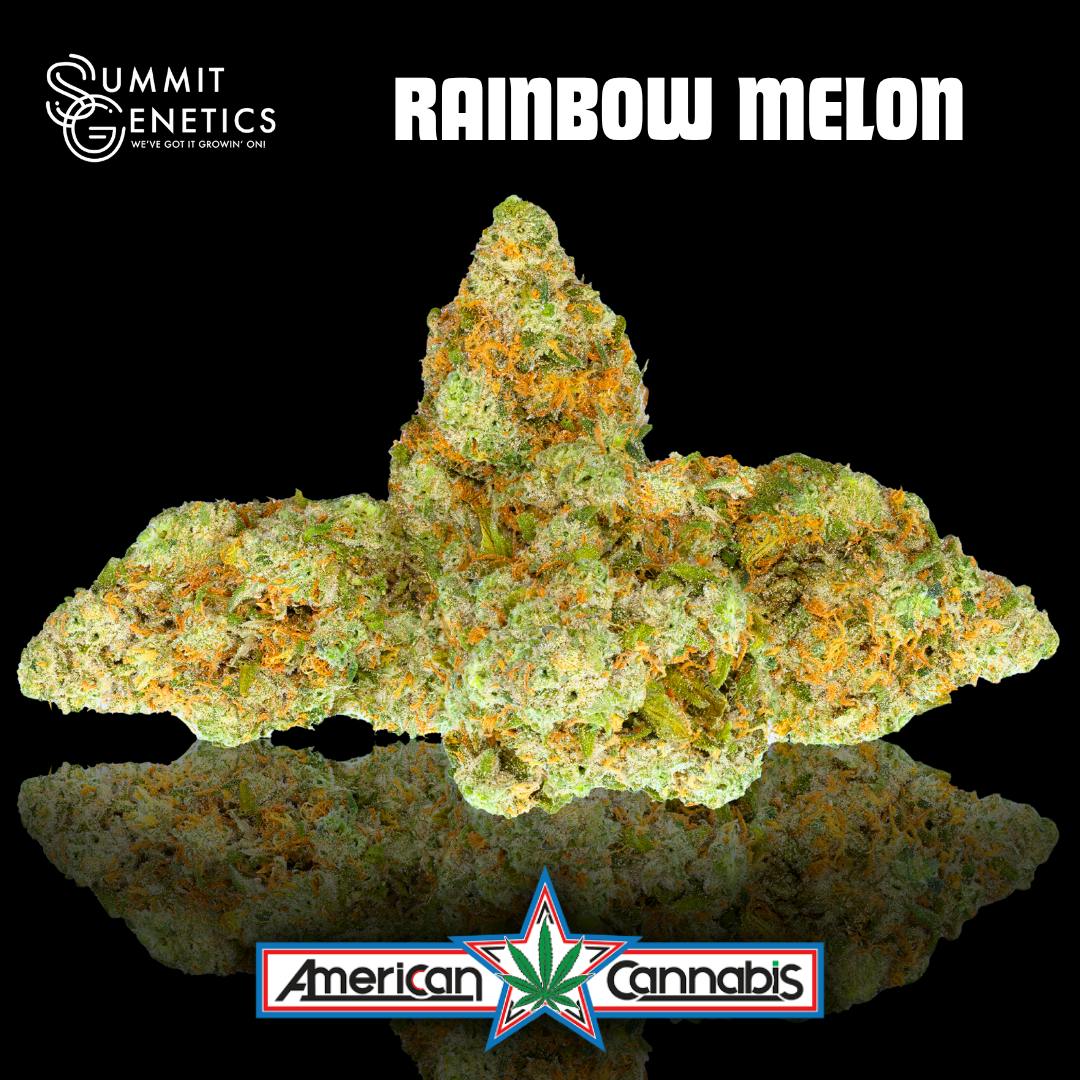 [Flower] Summit Genetics Rainbow Melon 14g [Hybrid]