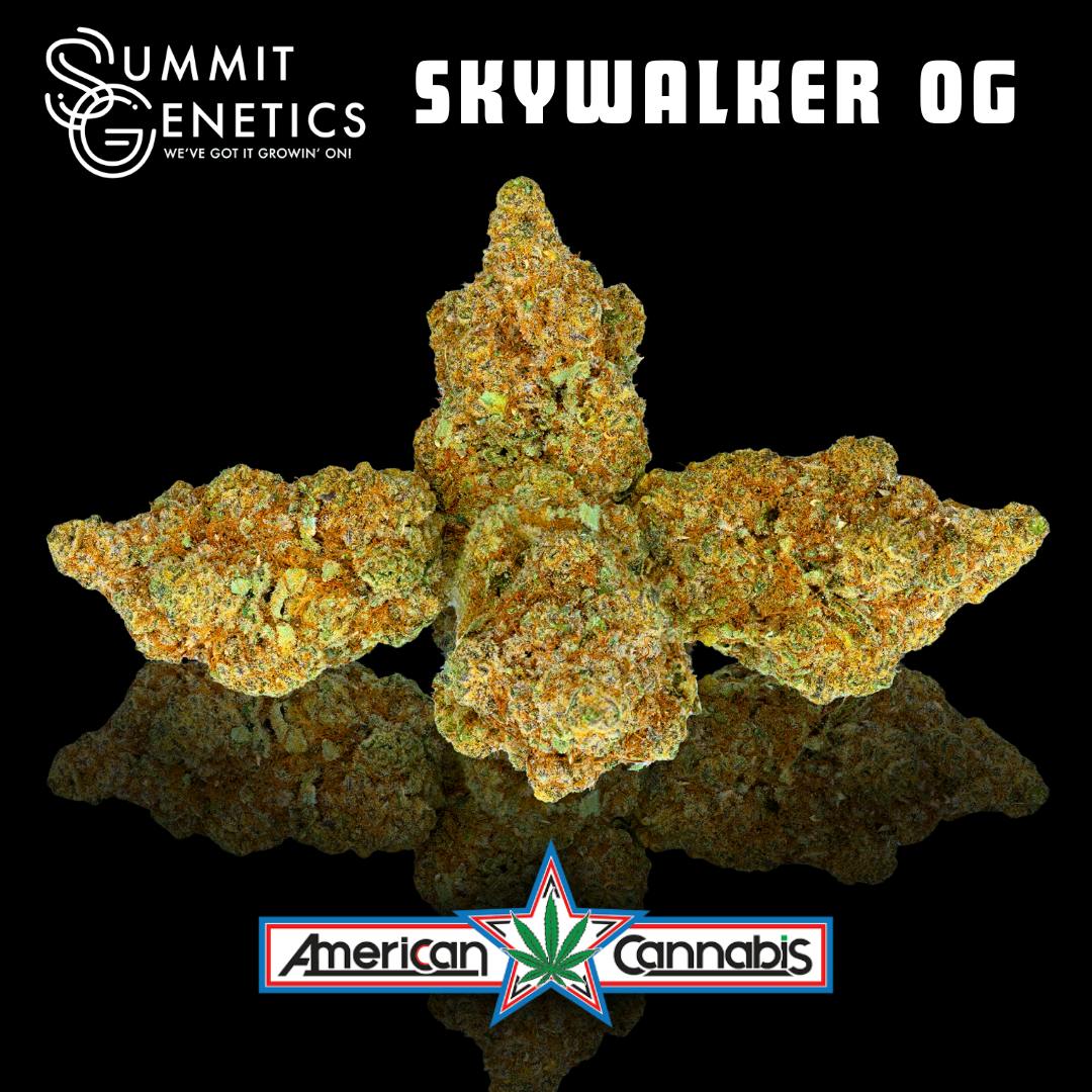 Skywalker Og