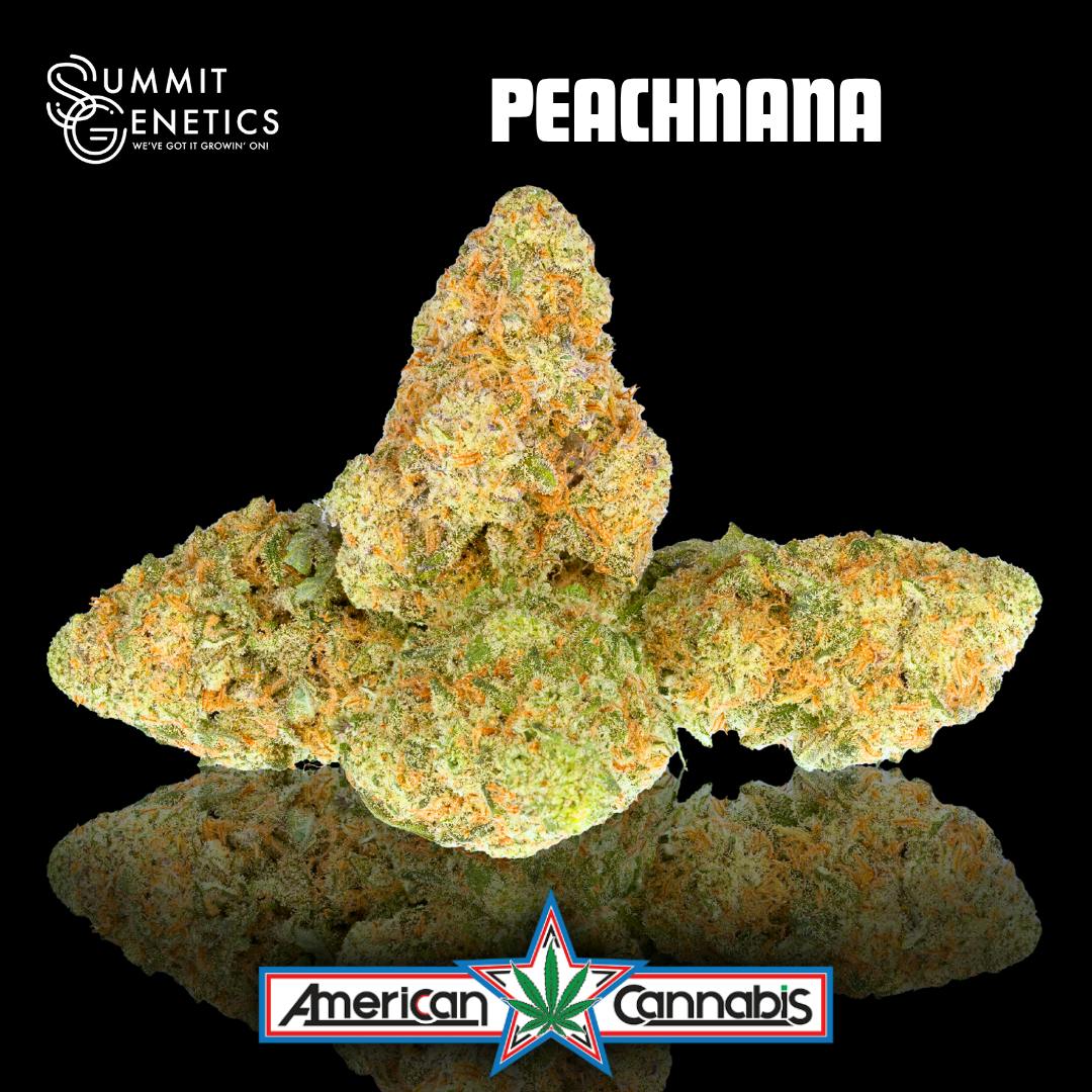 [Flower] Summit Genetics Peachnana 3.5g [Hybrid]