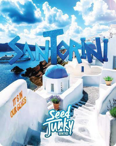 Santorini - Diamond Tier