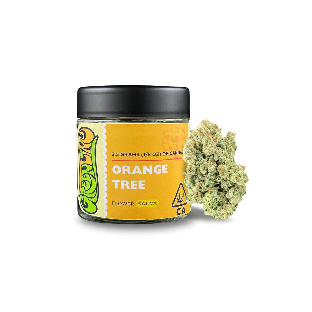 GREENLINE - Orange — Orange Tree
