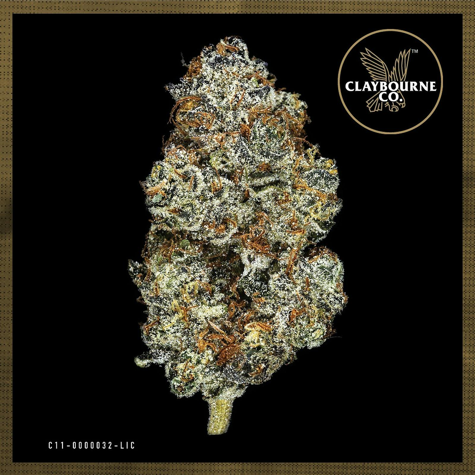 Claybourne Co. - — The Judge